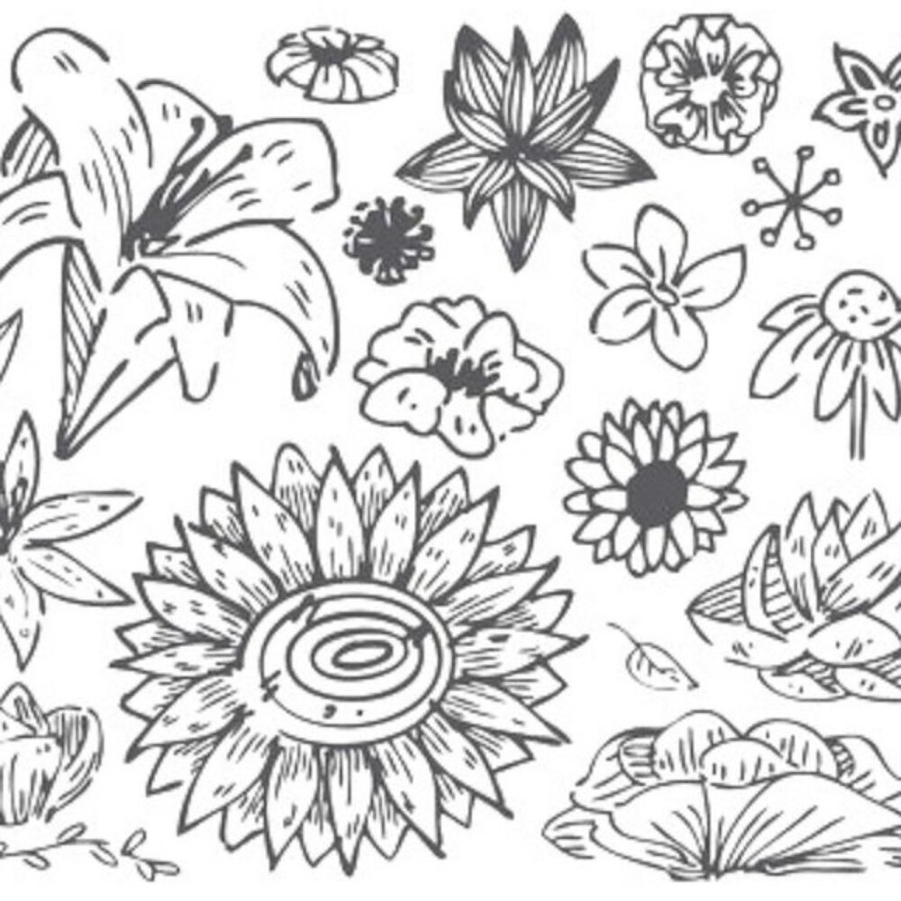 Intimates -------> - image 4